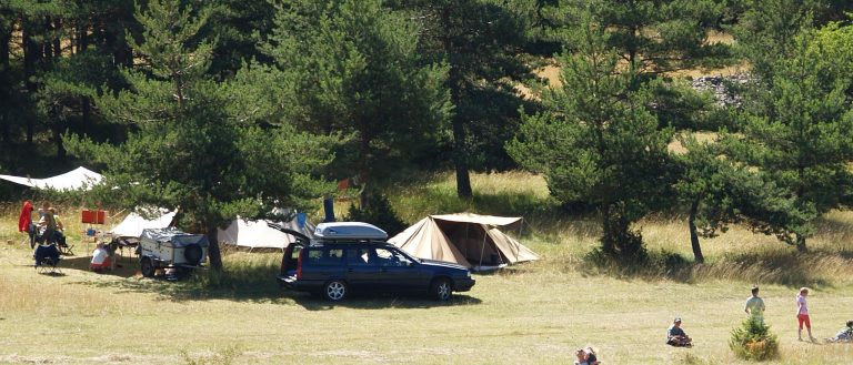 000004406441 768x329