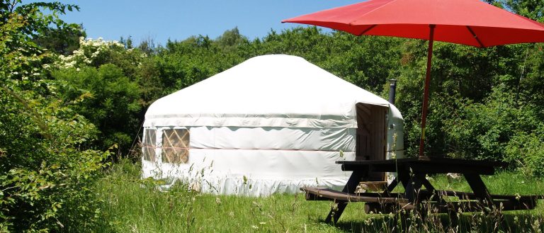 000004406581 768x329