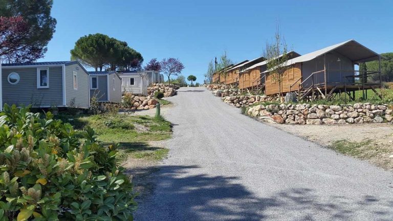 000005032061 768x432