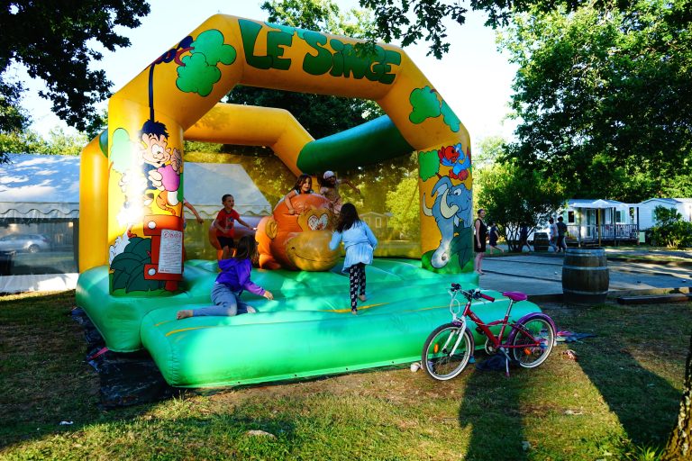 000005352091 768x512