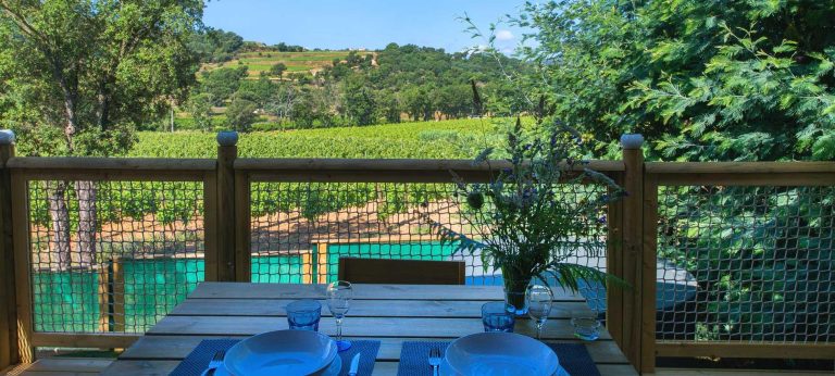 000005628221 768x346