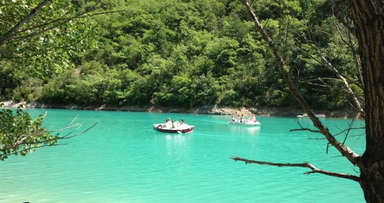 000005666801 768x406