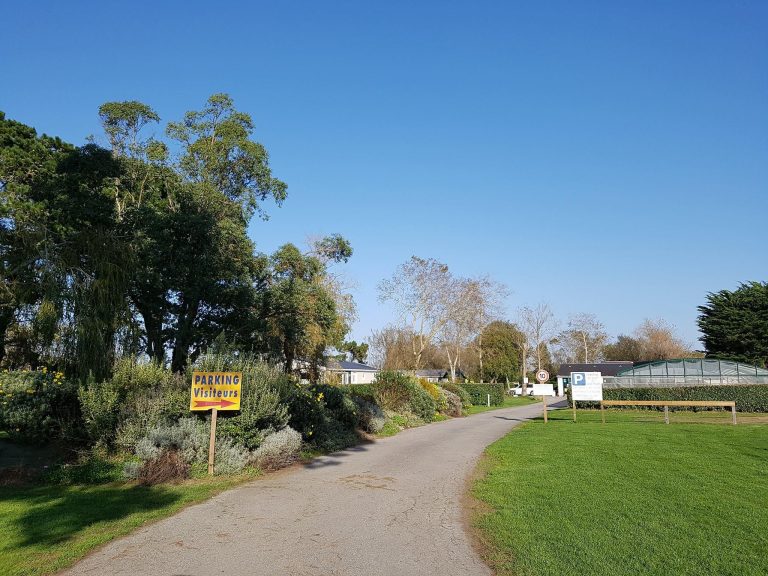 000005760231 768x576