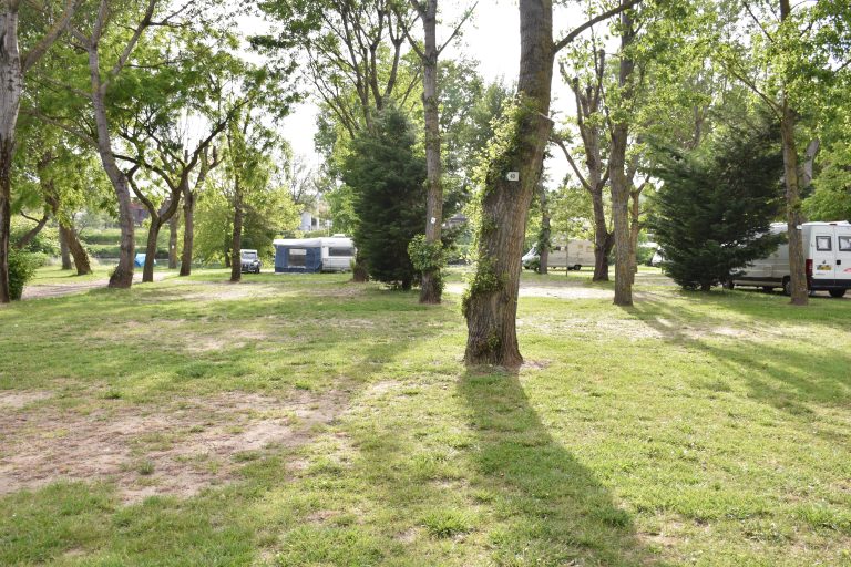 000005835681 768x512