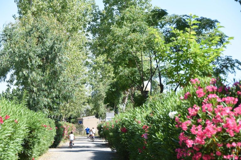 000006596061 768x512