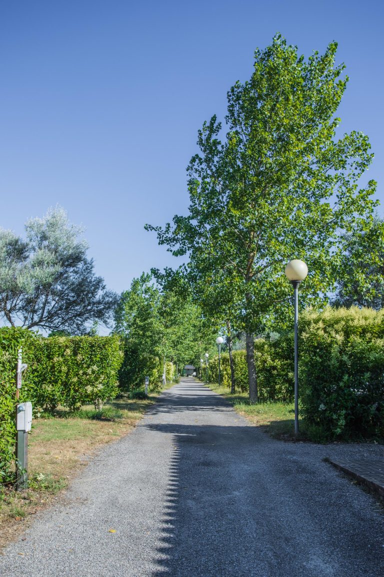 000006902201 768x1152