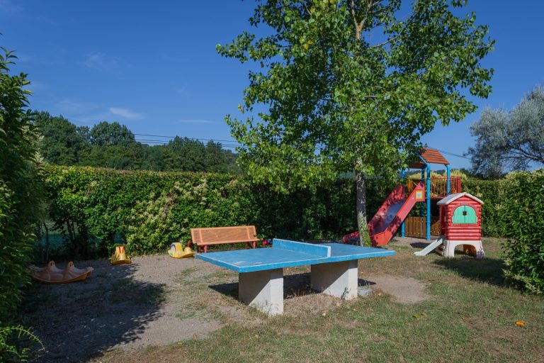 000006902221 768x512