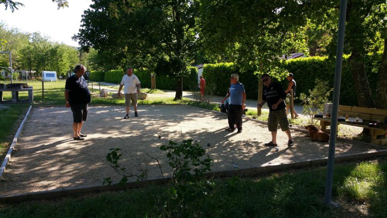 000007364931 768x432