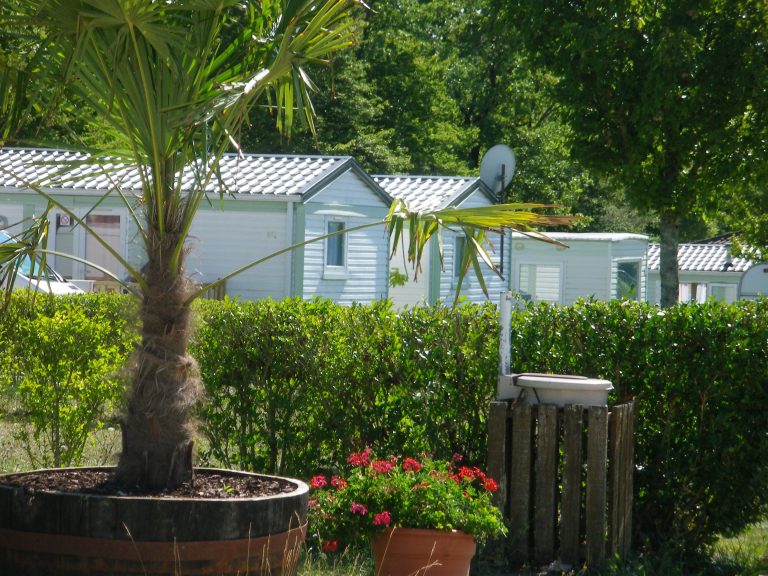 000007485871 768x576