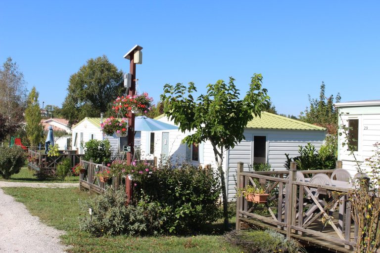 000007485881 768x512