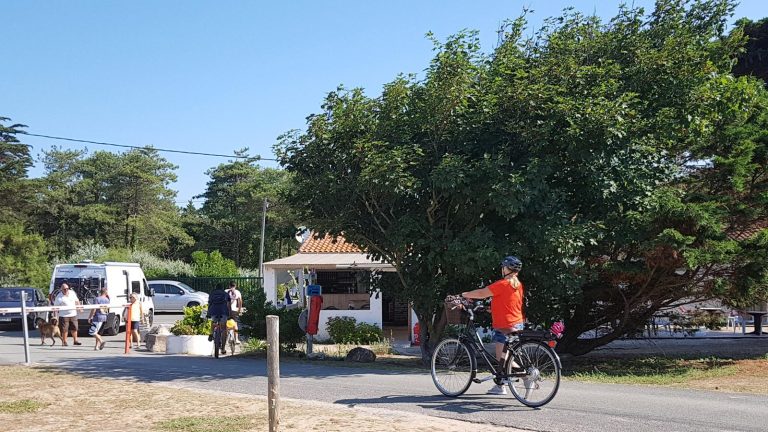 000007510551 768x432