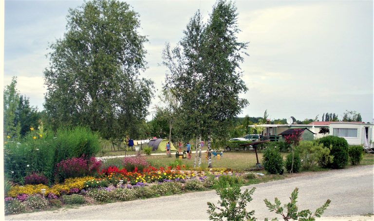 000007512381 768x455