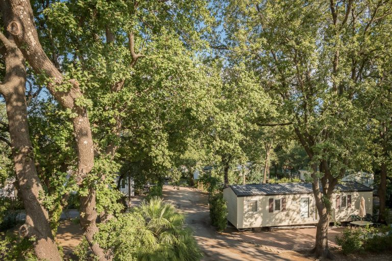 000007540791 768x513