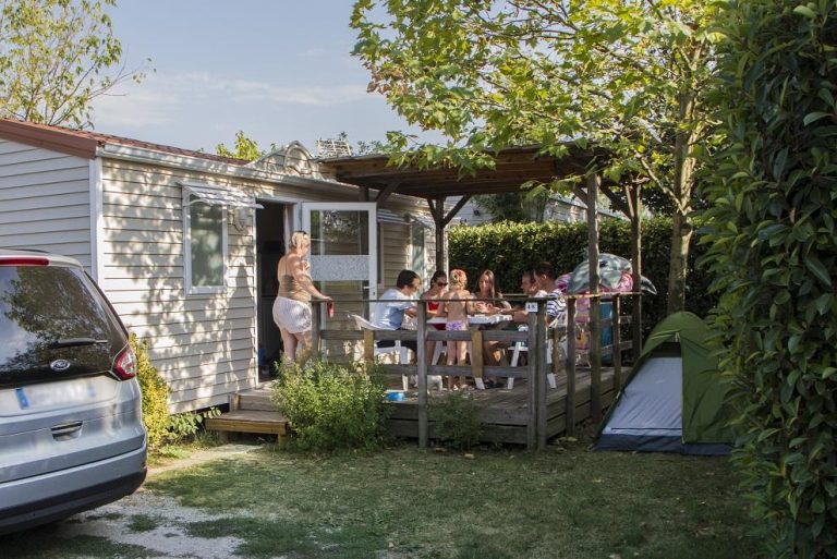 000008008681 768x513