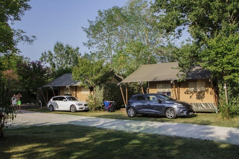 000008008691 768x512