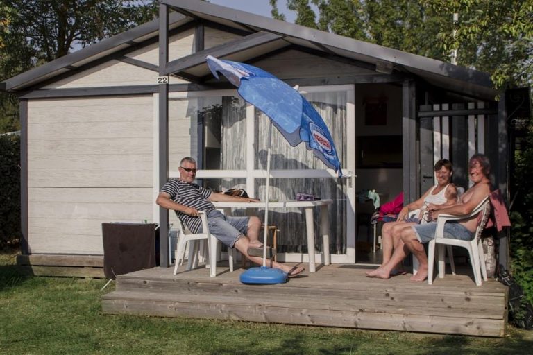 000008008761 768x512