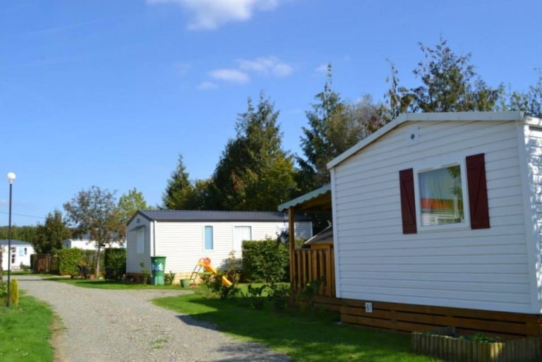 000008175781 768x513