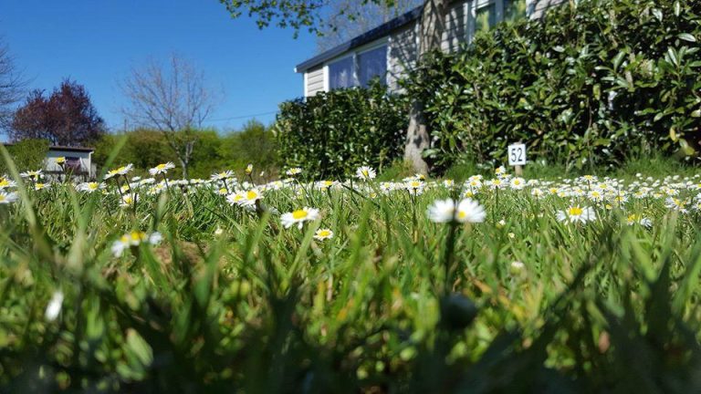 000008175791 768x432