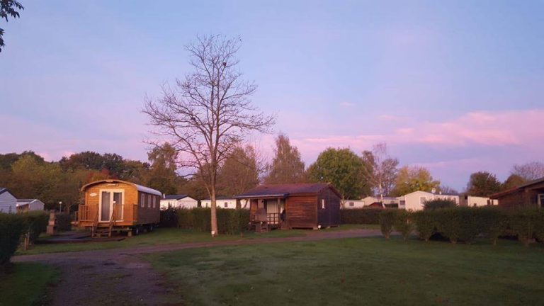 000008175811 768x432