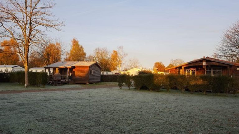 000008175821 768x432