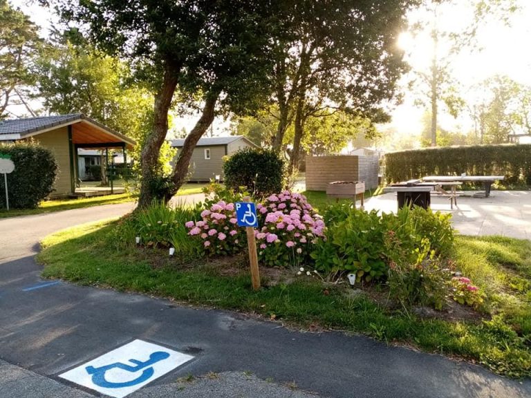 000008380891 768x576