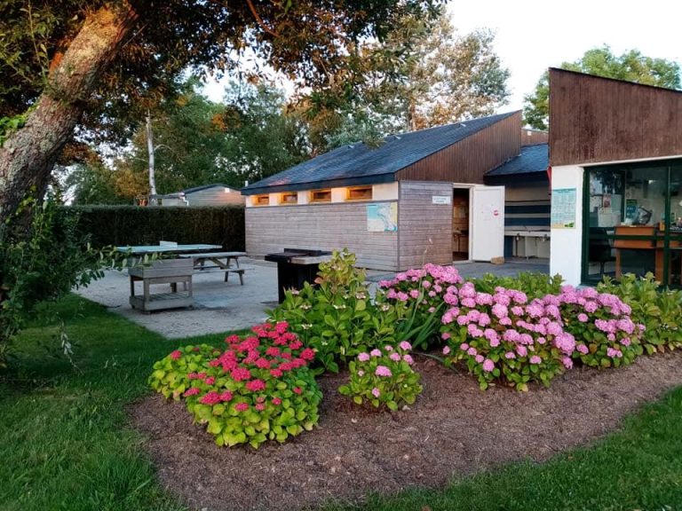 000008380941 768x576