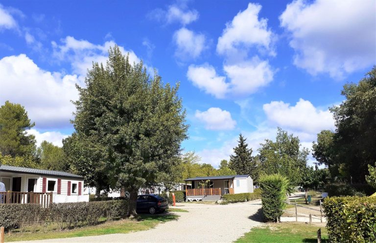 000008748881 768x497