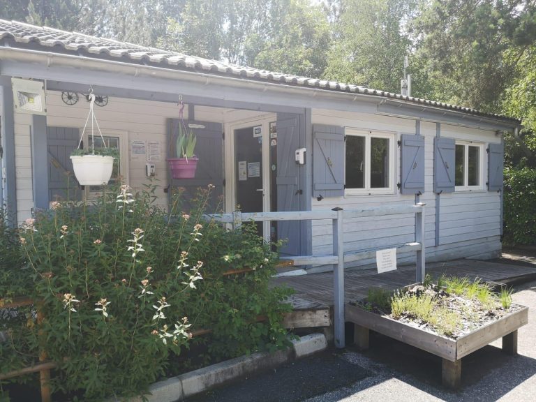 000008818841 768x576