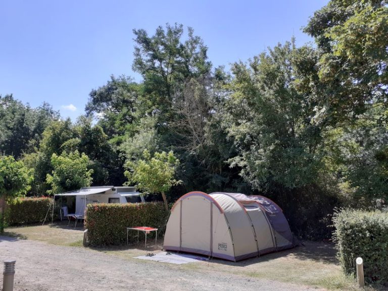 000009075811 768x576