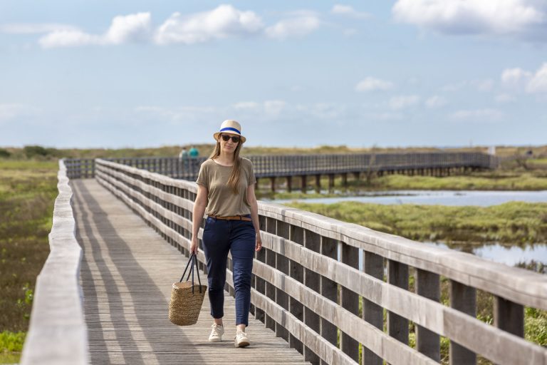 000009204951 768x512