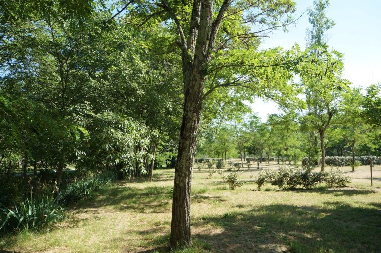 000009263481 768x510