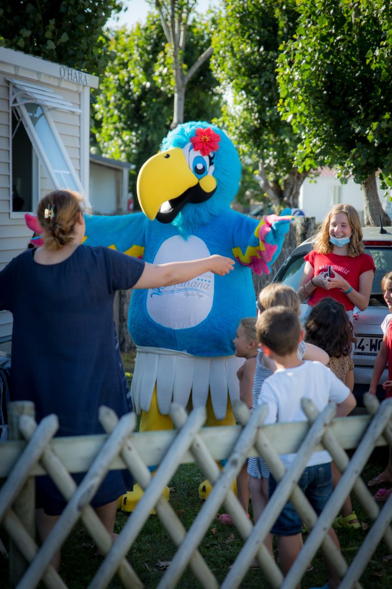 000009280861 768x1152