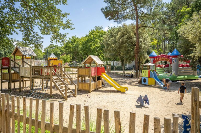 000009303181 768x511