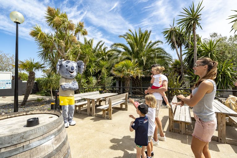 000009468101 768x512