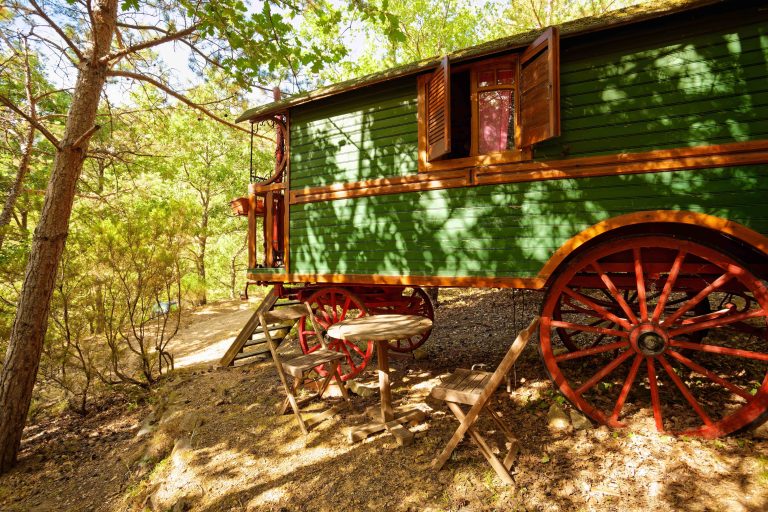 000009469531 768x512