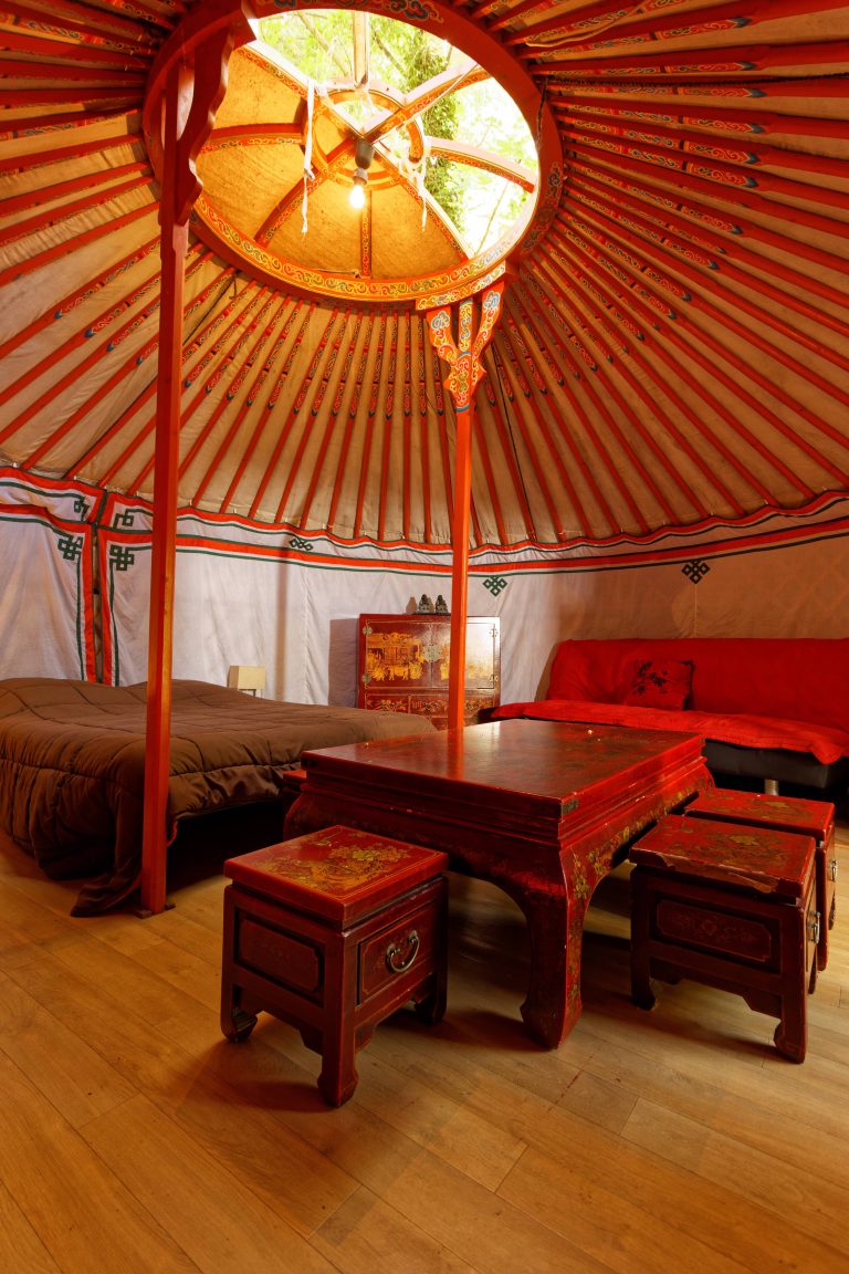 000009469541 768x1152