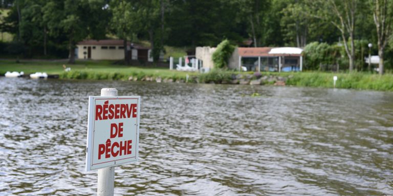 000009471371 768x384