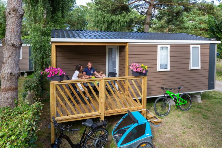 000009693351 768x512