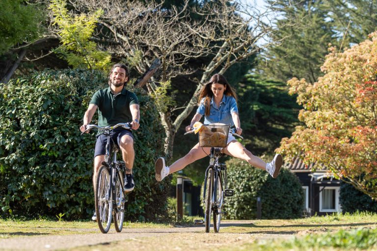 000009746771 768x512