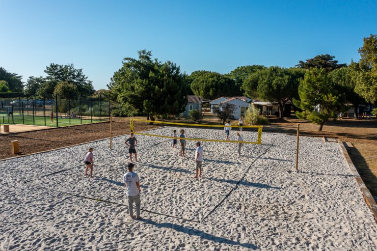 000009835001 768x511