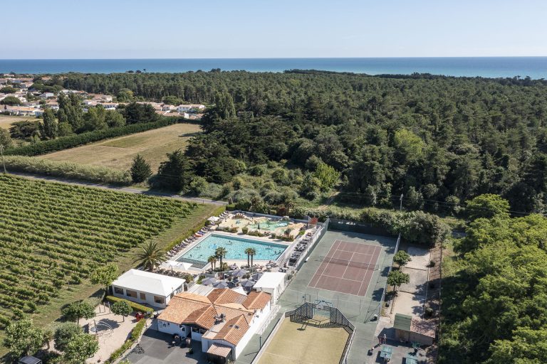 000010041051 768x512