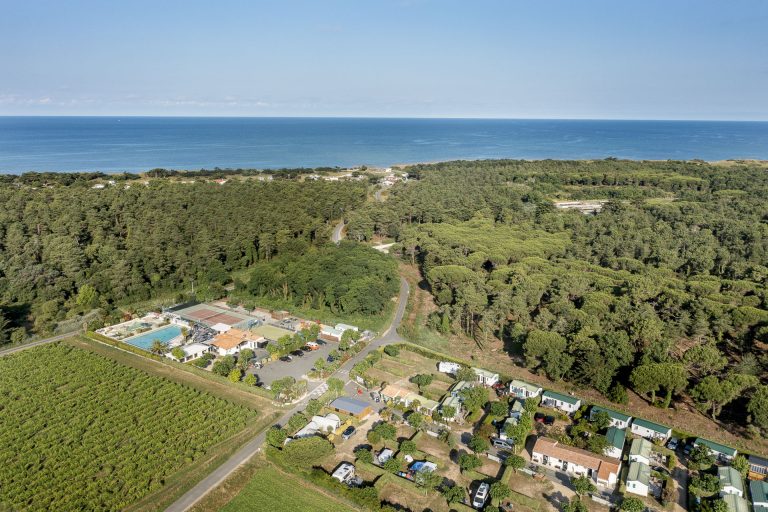 000010041071 768x512