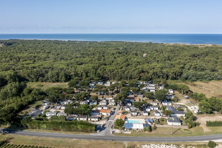 000010045861 768x512