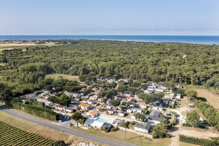 000010045881 768x512