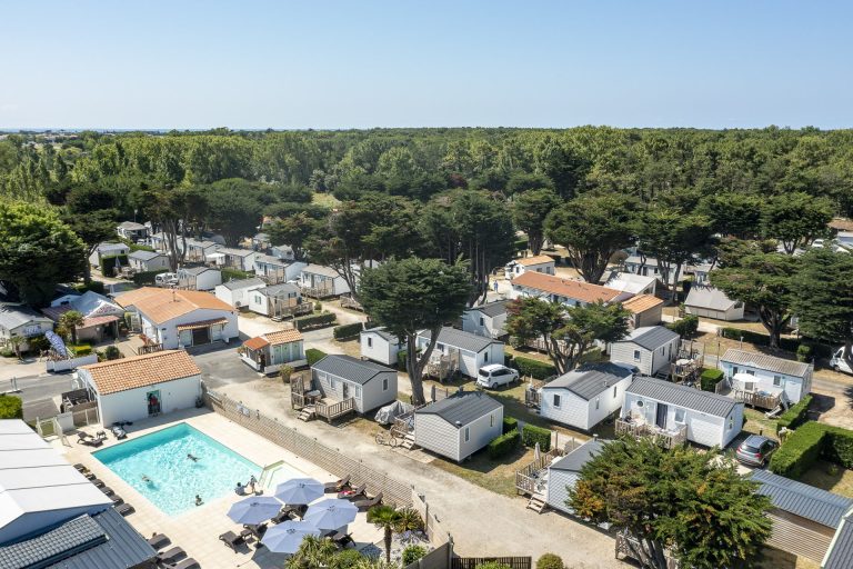 000010045911 768x512