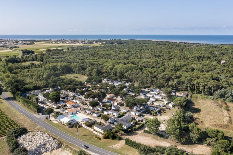 000010045921 768x512