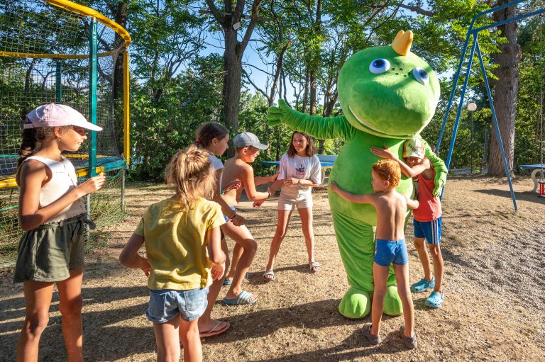 000010086001 768x511