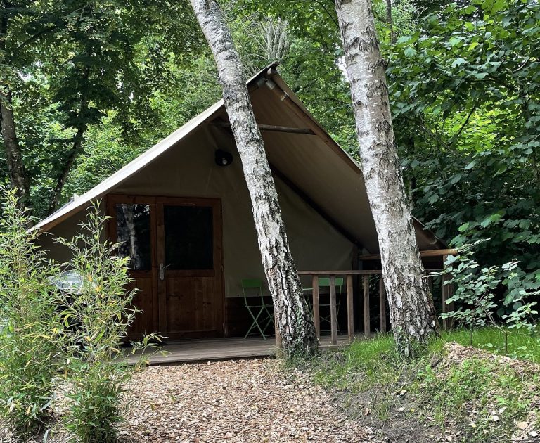 000010231431 768x630