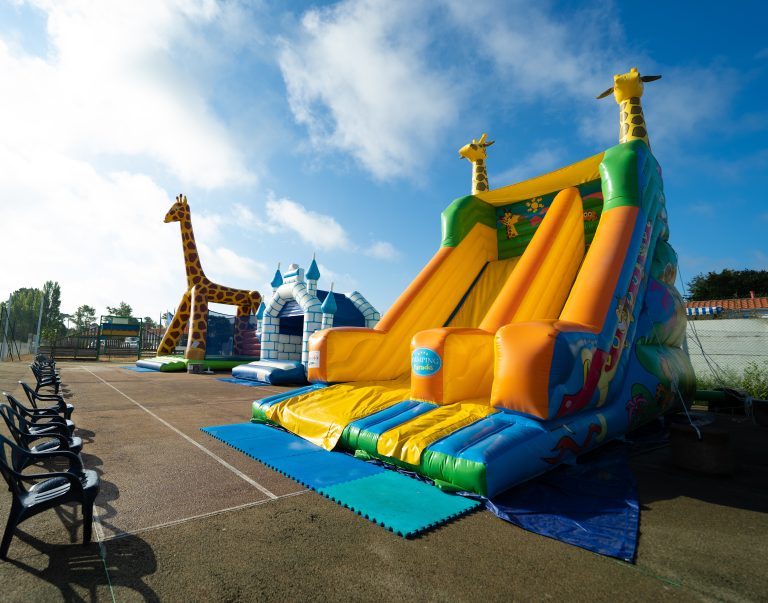 000010296751 768x603