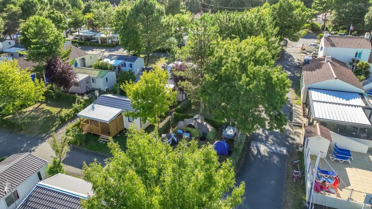 000011342071 768x432